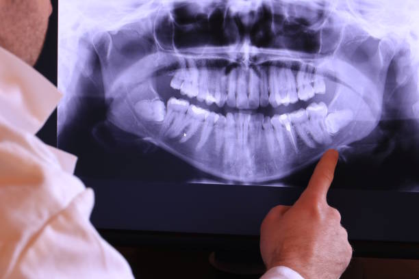 Best Emergency X-Rays and Diagnostics in Grover, WY